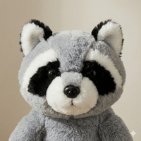 Raccoon