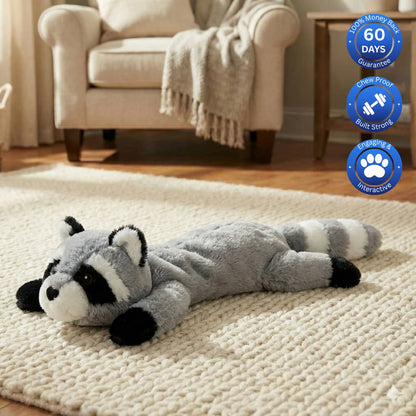 Raccoon